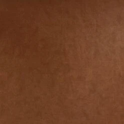 2pk Bowden Dining Chair With Arms Caramel Faux Leather - Project 62™ 12 2pk Bowden Dining Chair With Arms Caramel Faux Leather - Project 62™ -Project 62 GUEST 02f52629 0188 4088 8b4c 5ef15f70b457