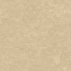 2pk Bowden Faux Leather And Metal Dining Chairs Natural - Project 62™ 10 2pk Bowden Faux Leather And Metal Dining Chairs Natural - Project 62™ -Project 62 GUEST 0d6e1b42 49a9 4398 915f e3357eb3f975